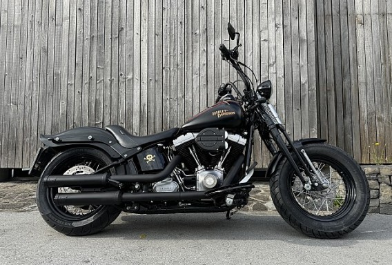 Harley-Davidson FLSTSB CROSS BONES - 1